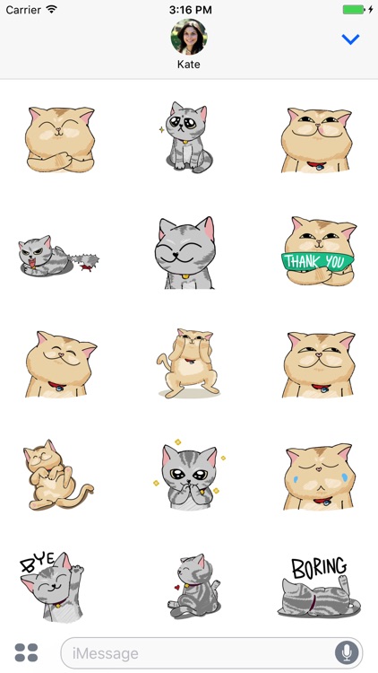 Jiggling Cat Animated Emoji Stickers by Carlos Solana Martinez