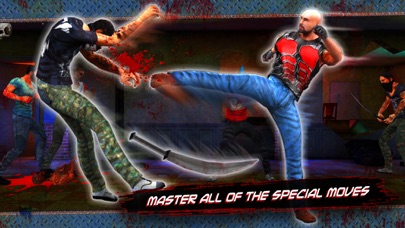 Deadly fighter Master screenshot 3