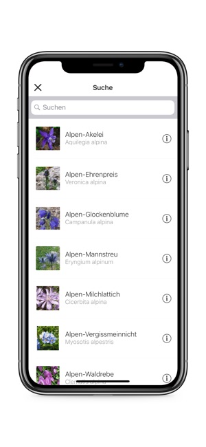 Alpenblumen bestimmen(圖2)-速報App