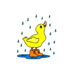Bird Sticker Pack