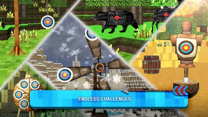 Bow Master Sport:Archery Games screenshot 3