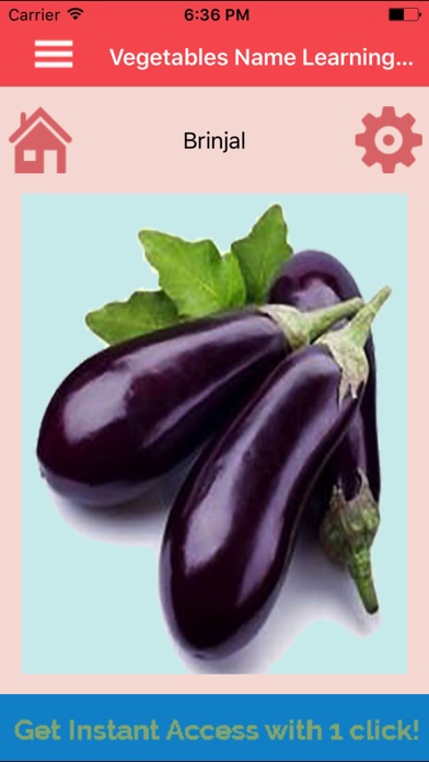 Vegetables Name Learning Card screenshot 3