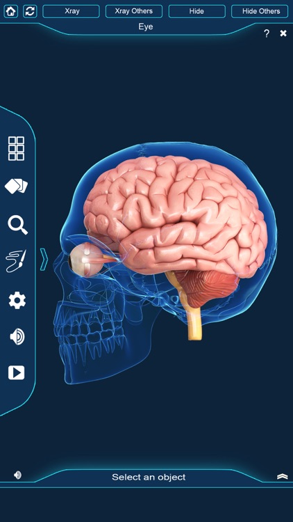 My Eye Anatomy