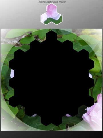 TriadHexagonPuzzle Flower screenshot 2