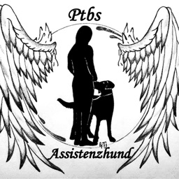 Assistenzhund Bullet Ptbs/Ptsd