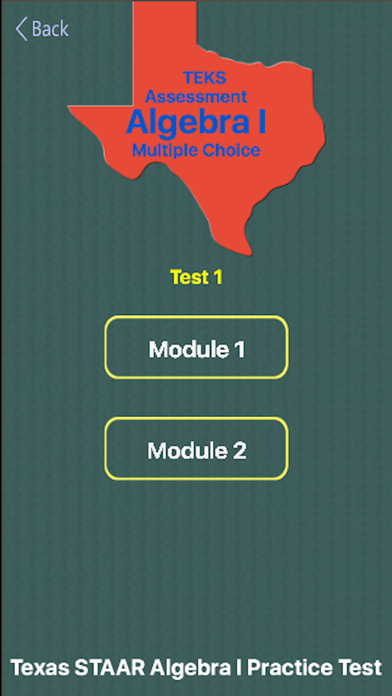 TX STAAR Alg I Practice Tests screenshot 2