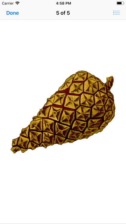 Pine Cone Stickers screenshot-5