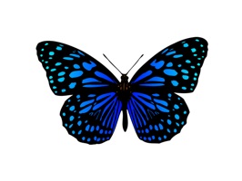 My Butterfly Sticker Pack