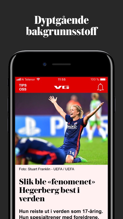 VG screenshot-4
