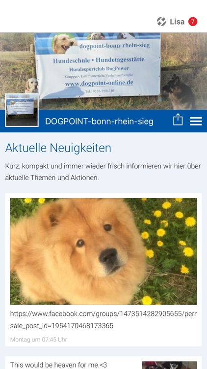 DOGPOINT-bonn-rhein-sieg