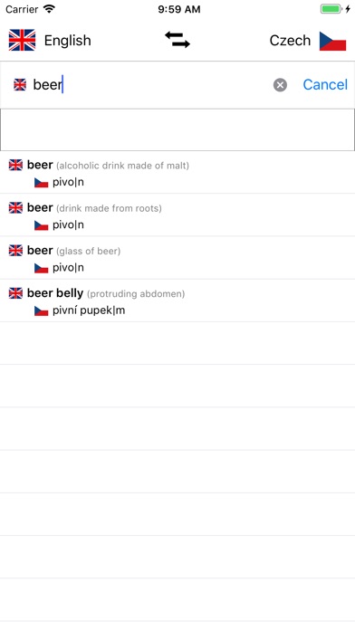 Czech/English Dictionary screenshot 2