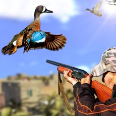 Activities of Bird Hunting 2018 Game