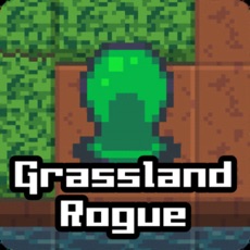 Activities of Grassland Rogue