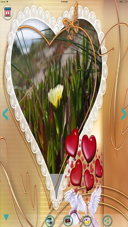 Photo frames-Frames & pictures