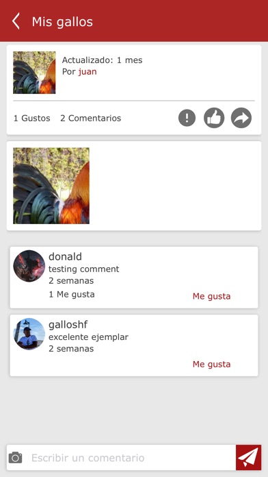 GalloNet screenshot 4