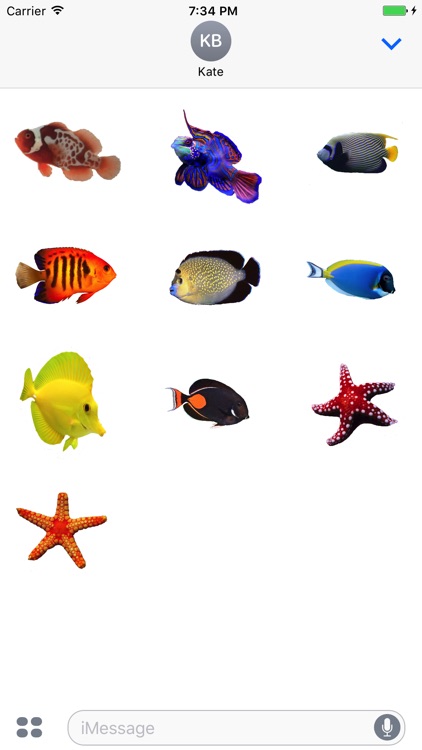 Saltwater Fish Stickers