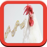 Son animal abc: amusant pour l pour PC