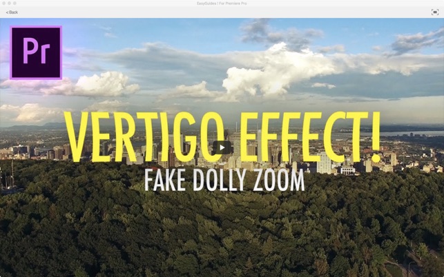 EasyGuides ! For Premiere Pro(圖5)-速報App