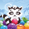Raccoon POP! - Bubble Shooter