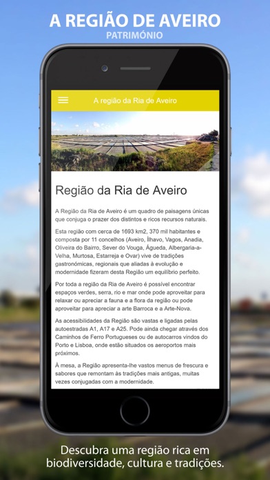 Aveiro Explorer screenshot 2