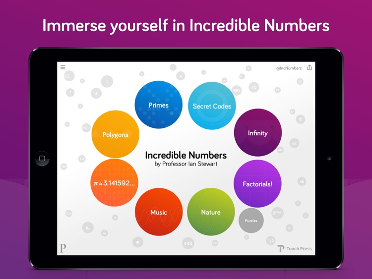Incredible Numbers by Professor Ian Stewart screenshot-4