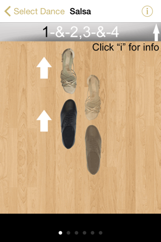 Ballroom Dancing Basics 1 screenshot 2