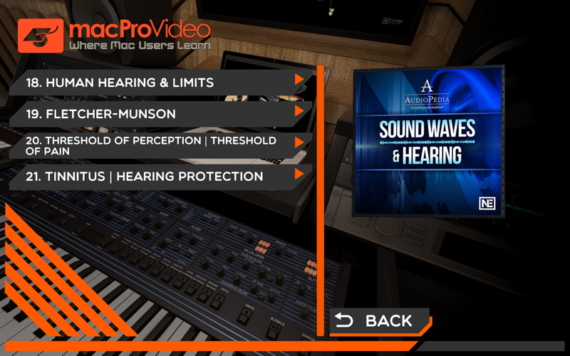 Sound Waves and Hearing 101 screenshot 2
