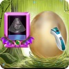 Fairy Dragon Egg