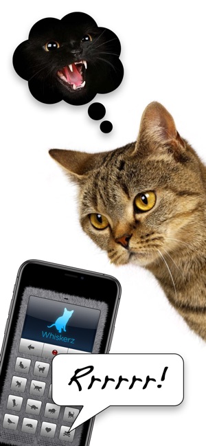 dating app for cat loversdating sites in orillia ontario