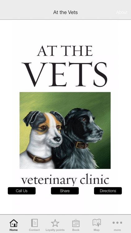 At the Vets