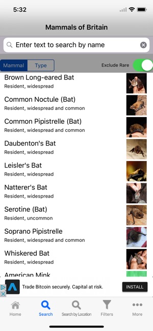 Mammals Of Britain