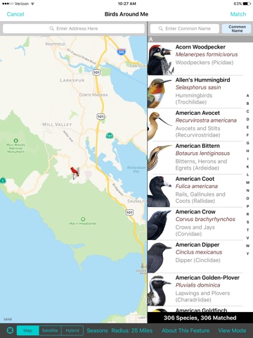 iBird Ultimate Guide to Birds screenshot 3