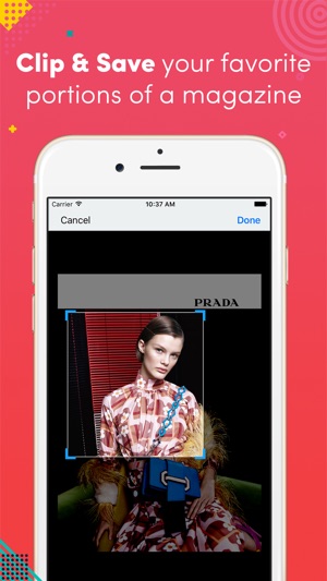 ELLE Vietnam(圖2)-速報App