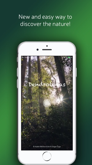 Dendrologas(圖1)-速報App