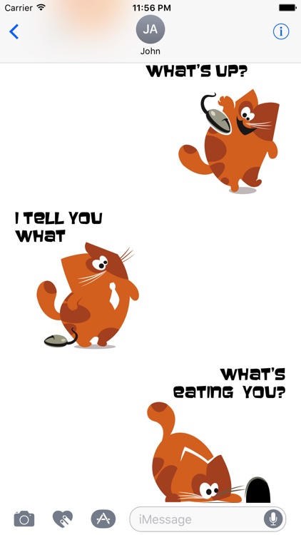 What the cat