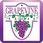 My Grapevine