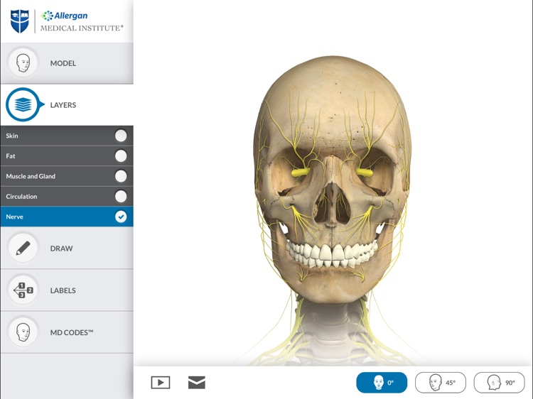 Interactive Anatomy - EG screenshot-4