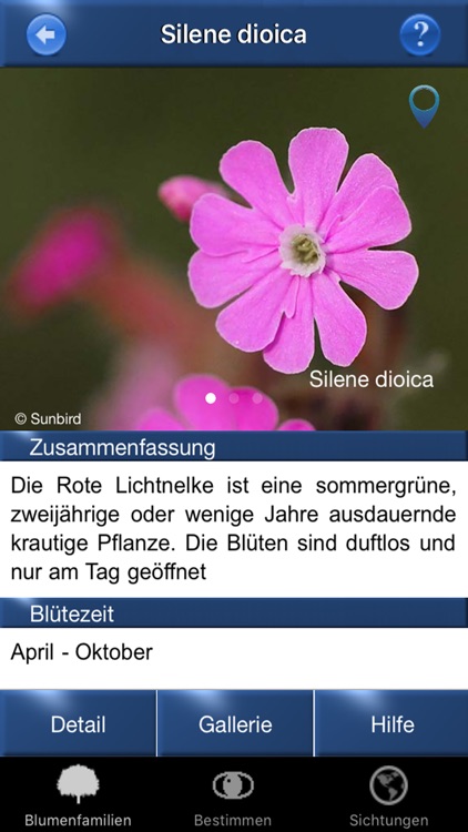 Alpenblumen Id Automatik Blumen, Kräuter bestimmen