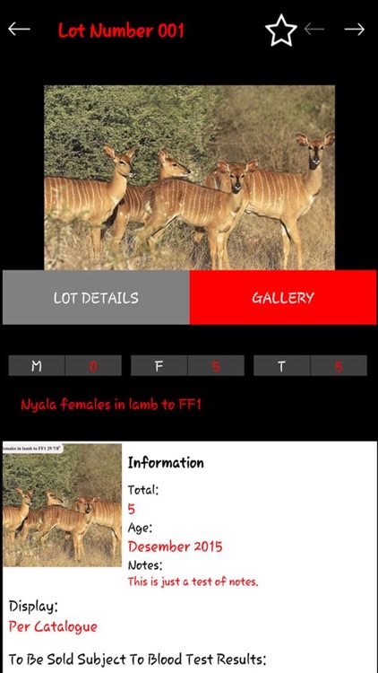 African Game Auctioneers screenshot-3