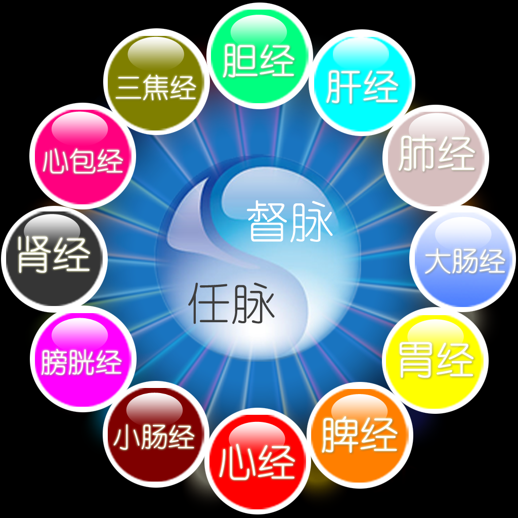 3D针灸穴位 App Icon