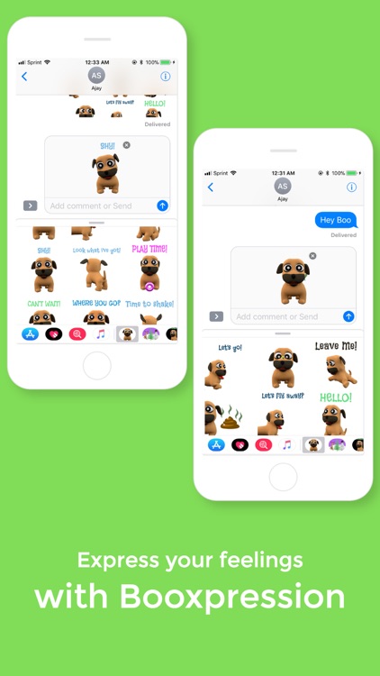 Boo The Cutie Animated Dog screenshot-3