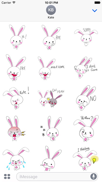 Cool rabbit sticker