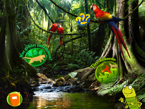 GEOmini Dschungel screenshot 2