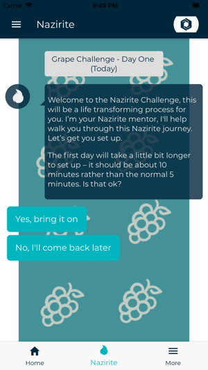 Nazirite Challenge(圖3)-速報App