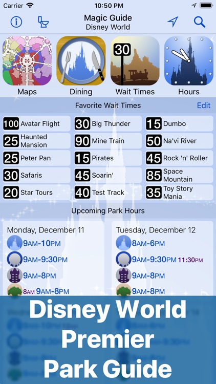 Magic Guide to Disney World
