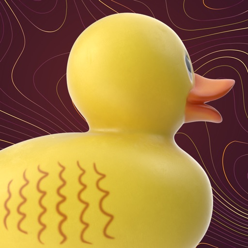 Duck Challenge icon