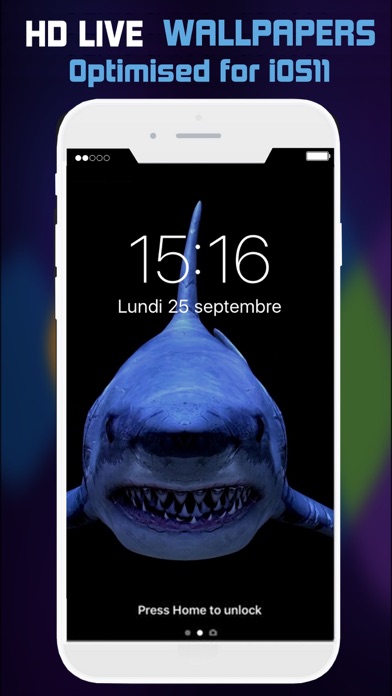 ss1