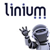 Linium Recruiting
