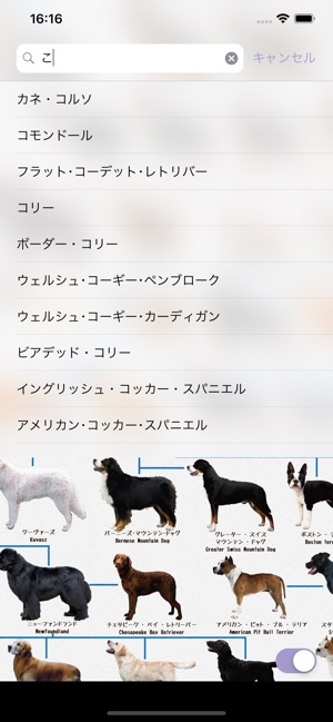 犬図鑑 Dog S Family をapp Storeで