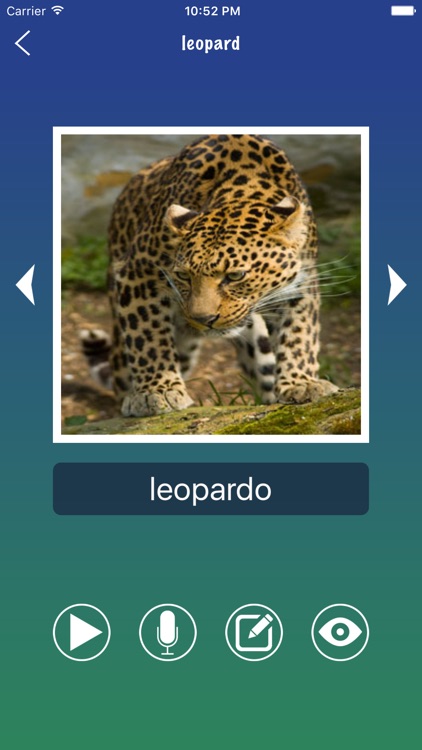 Portuguese Word Flashcard Easy